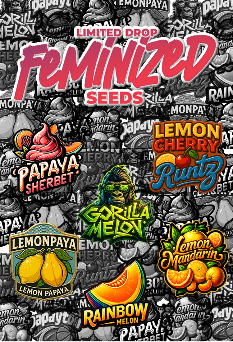 SEMILLAS FEMINIZADAS