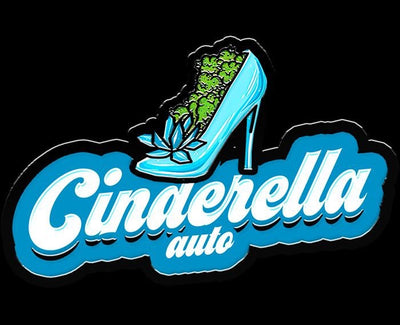Cinderella Auto