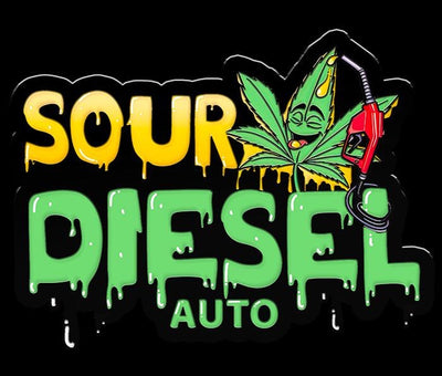 Sour Diesel Auto